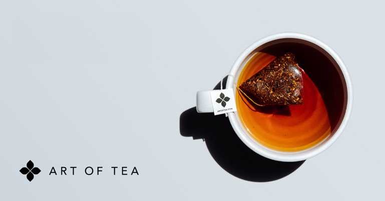 Sencha Green Tea Pyramid Teabags – Bulk Packed Review